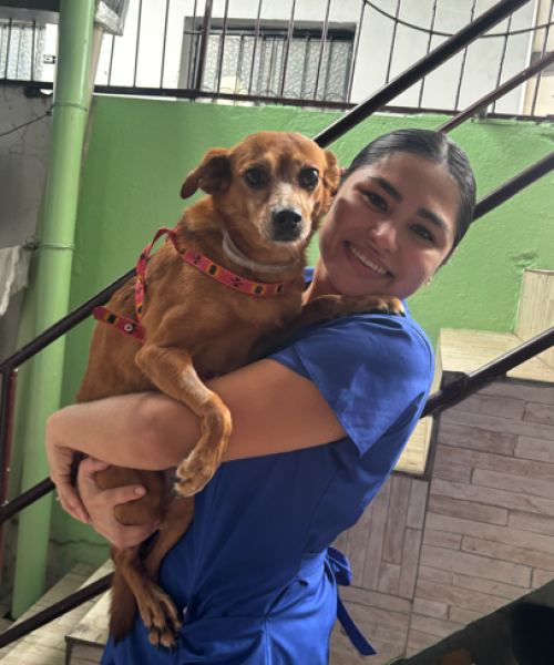 Captura de tela 2026-07-28 143003
